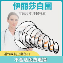 Elizabeth circle cat collar neck cat Elizabeth white pet dog dog head cover anti-bite anti-licking shame ring supplies