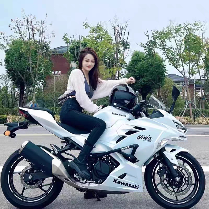 Premium Motorcycle, Little Ninja Sports Car, Racing Bike, Horizon Dual-Cylinder Water-Cooled Efi Vehicle, Adult Fuel-Powered Motorbike