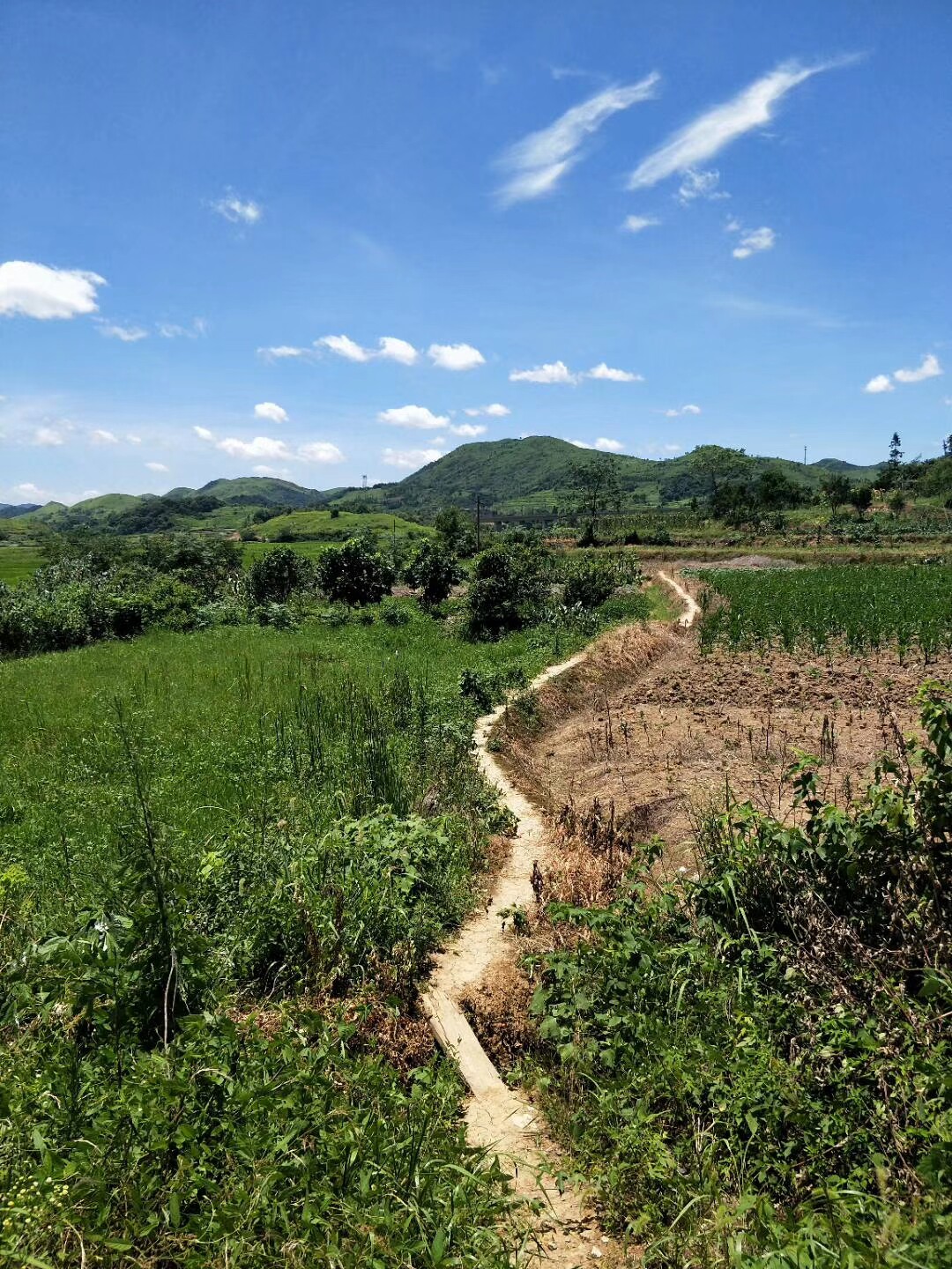 哲轩家用电器商城