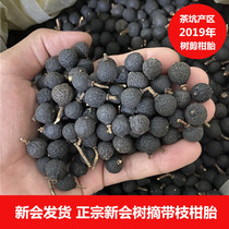 Authentic Xinhui tree picking with branches of tangerine baby green citrus tea Fresh Tangerine Peel dried fruit tea 50g