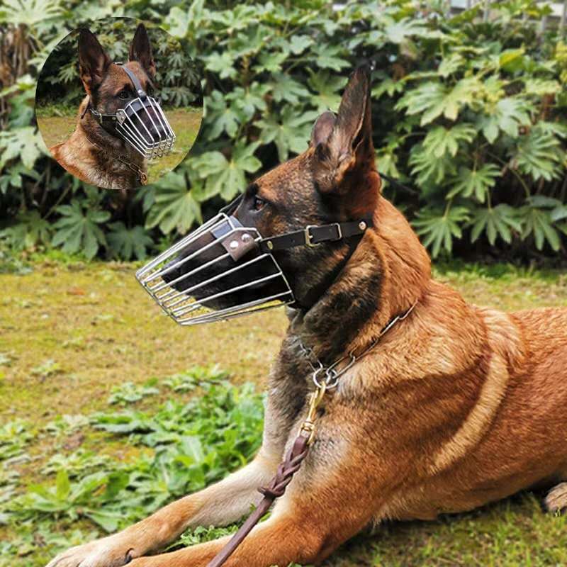 Dog mouth cover large canine dog Deed shepherd dog Rovena stainless steel iron mouth cage gold wool mask anti-bite