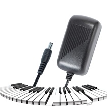 Original MEDELI MC66 MC160 m311 A300 A100 electronic keyboard power cord adapter