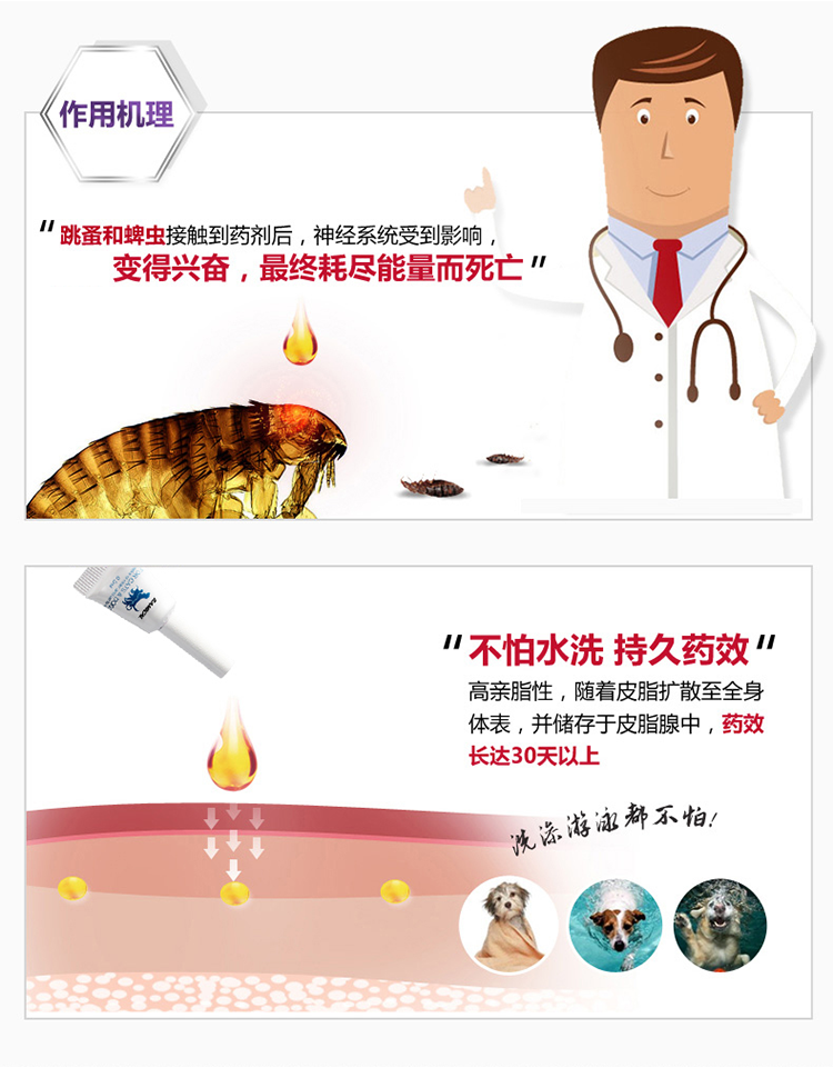 Remi Gao Lei nhỏ giọt 0,5ml mèo cưng chó tẩy giun ngoài thuốc diệt muỗi - Cat / Dog Health bổ sung sữa mèo con
