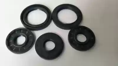 15*35*6 6 5 NAK oil seal TCN1 double gear pump hydraulic motor oil pump skeleton Oil Seal