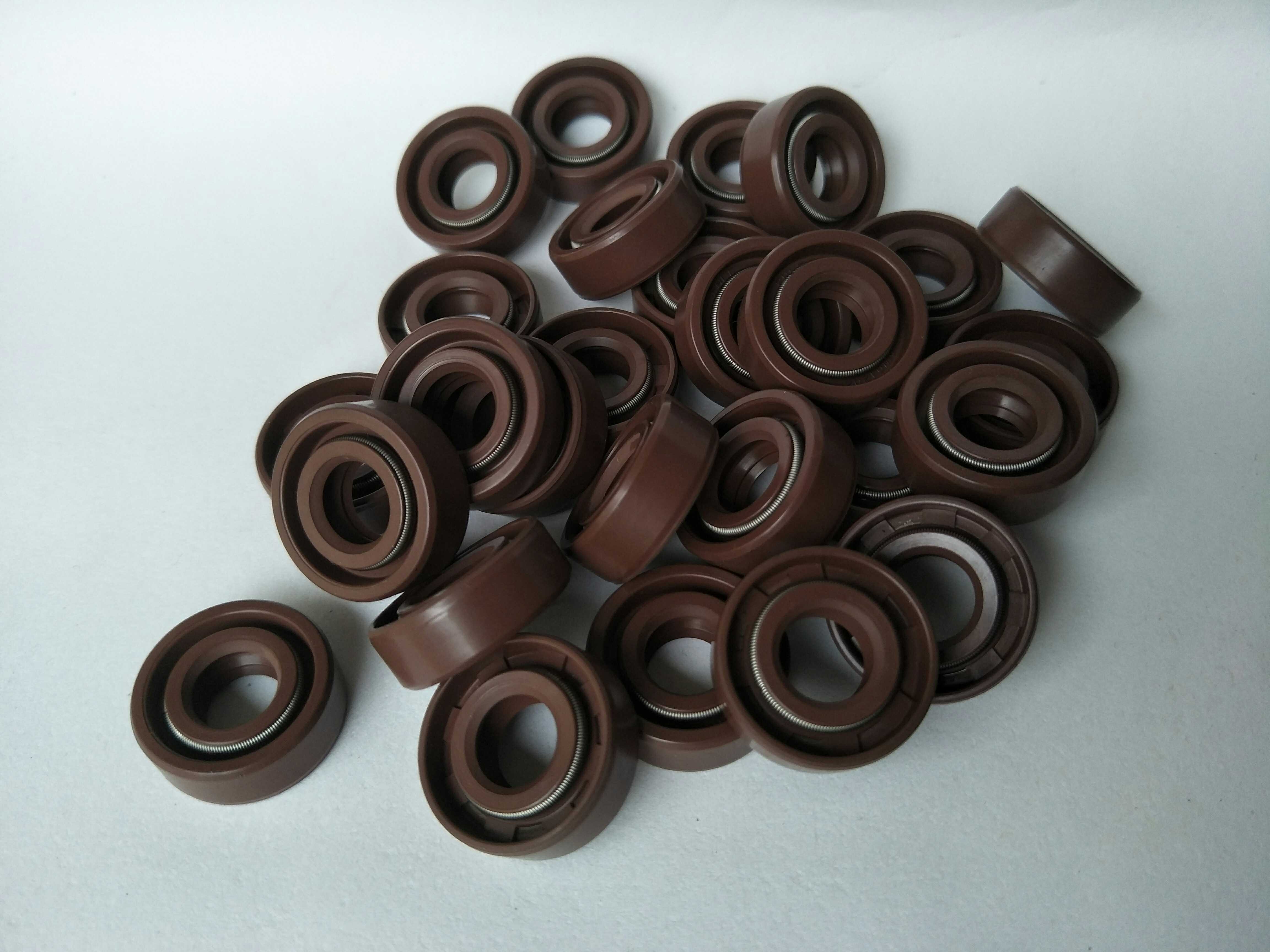 DC12 * 25 * 9 AW01202 Taiwan imports PHLE double spring fluoroglue oil seal double-sided spring oil seal