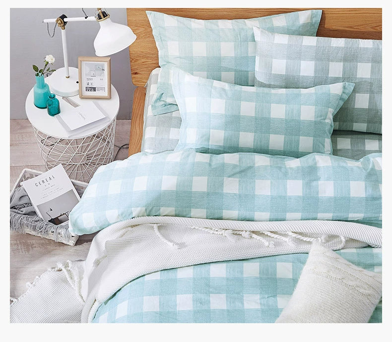 Bo Yang dệt denim giường bông đơn giản sọc ca rô 1.8m mùa xuân bông chăn đơn đôi - Bộ đồ giường bốn mảnh