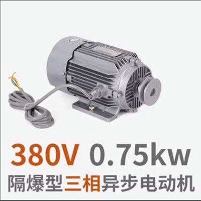 Универсальный взрывобезопасный мотор, 380v