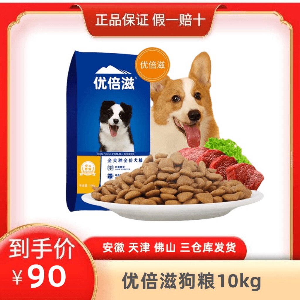 Premium Dog Food, Universal Beef Flavor, 20 kg, Medium, and Small Dog Food, Teddy, Golden Retriever, Stray Dog, Adult Puppy 