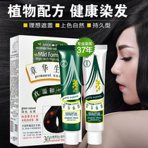 Zhanghua Ecological Hair Dyeing Cream Plant Essence Hair Dye Dyeing Hair at Home Women Covering White Hair