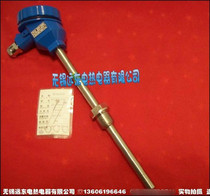 WZPK2-24 flameproof thermocouple Explosion-proof thermal resistance temperature measuring rod WZPK-24 index number PT100