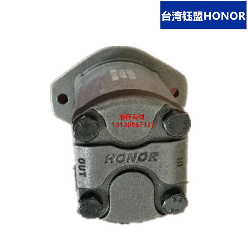 1GG1P01R 1GG1B06R 1AG1P06R 1AG1P07R 1AG1P07R Taiwan HONOR Gear Pump