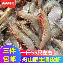 3 pieces of Jiangsu Zhejiang Shanghai Zhoushan seafood deep-sea green shell fresh smooth skin shrimp fresh shrimp 1 catty 55 or so