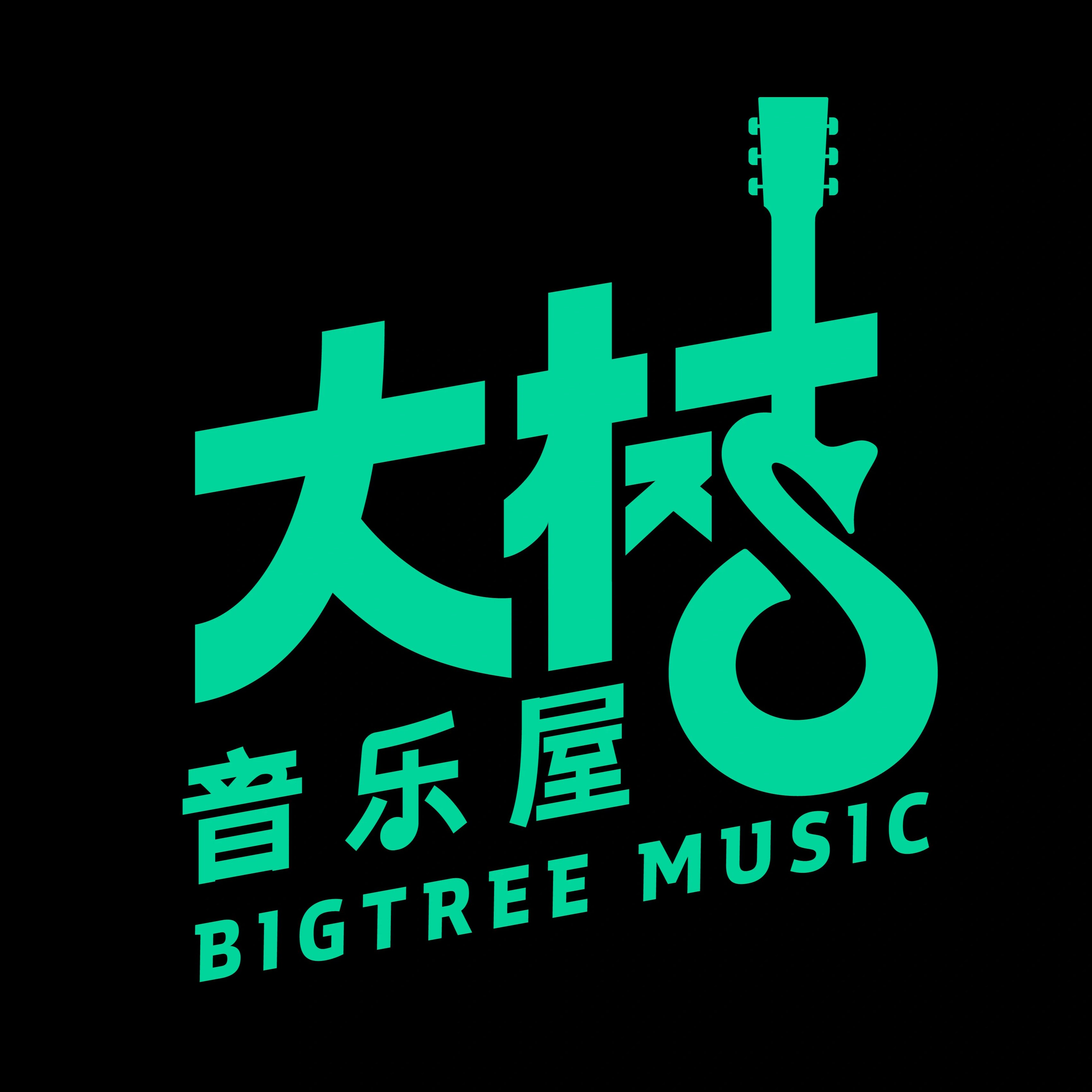 大树乐器BIGTREE