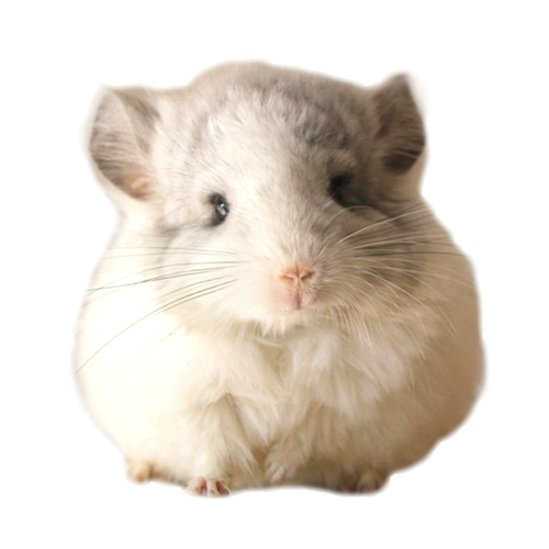 Сеть красный питомец мой сосед Totoro Totoro Live Cubs Торга Серый серебряный розовый розовый розовый уборщик с помощью вакцины