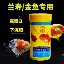 Fish Food Lanshoujin Fish Special Feed Telion Lions Head High Protein Sink Bottom Sunken Type Small Grain Domestic Fish Grain