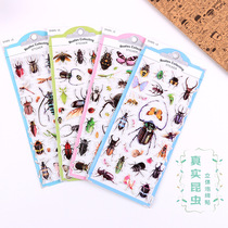 Insect Beetle fly bee bug stereo 3D bubble sticker children cartoon sticker toddler cognitive sticker