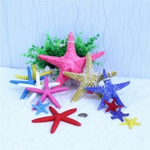 Colored starfish sun glasses display glasses shop creative decorations window display Props sunglasses fashion display