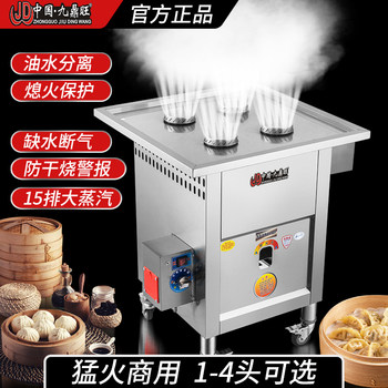 Authentic Jiudingwang Oil-Water Separation Steamer for Commercial Use, Gas/Electric Heating, Multifunctional Rice Roll Machine