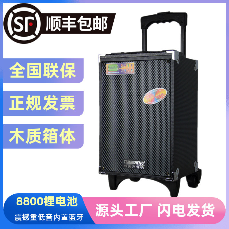 Temevoice outdoor square dance performance with wireless microphone High power mobile sound Bluetooth K song Lausing speaker