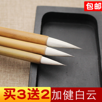  Jiajian University Middle and High School Xiaobai cloud wolf sheep and hair color brush Beginner calligraphy Chinese painting introductory regular script student set