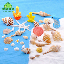 Fish tank shell conch ornaments Mediterranean shooting props Micro landscape scallop simulation starfish coral