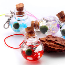 marimo happy pet seaweed ball ecological bottle Mario hydroponic plant microlandscape pellaria carrying bottle