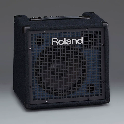 Roland Roland Speaker KC990 KC220 KC400 KC600 Стереомарт -клавиатура