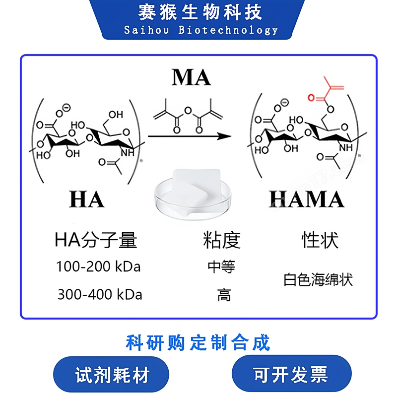 Methylacrylated Hyaluronic Acid Hama Light-Curing Hyaluronic Acid Biological 3D Printing Ink Microneedle