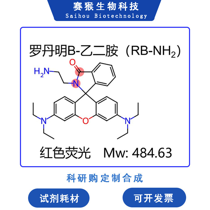 罗丹明B-乙二胺RB-NH2胺基氨基红色荧光强度高蛋白多肽标记现货