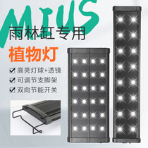 MIUS rainforest tank special LED lamp ecological landscaping plant aquatic plant lamp amphibious pet tank lighting