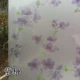 Фиолетовая слива
