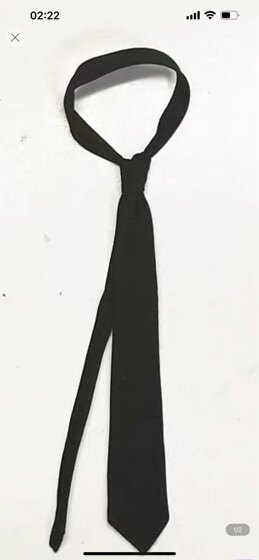 In Stock 3R Did Gm646 1/6 Scale Soldier Heinrich Himmler Late Period Version B Model Tie