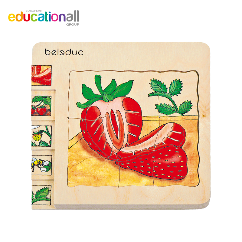 Aumont Beledu Berledo Multiple Layers Puzzle Strawberry Banana Apple Potato Carrapin Wooden Table Tours