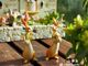 Creative home living room partition meter box decoration gardening micro landscape bonsai Alice rabbit succulent ornaments