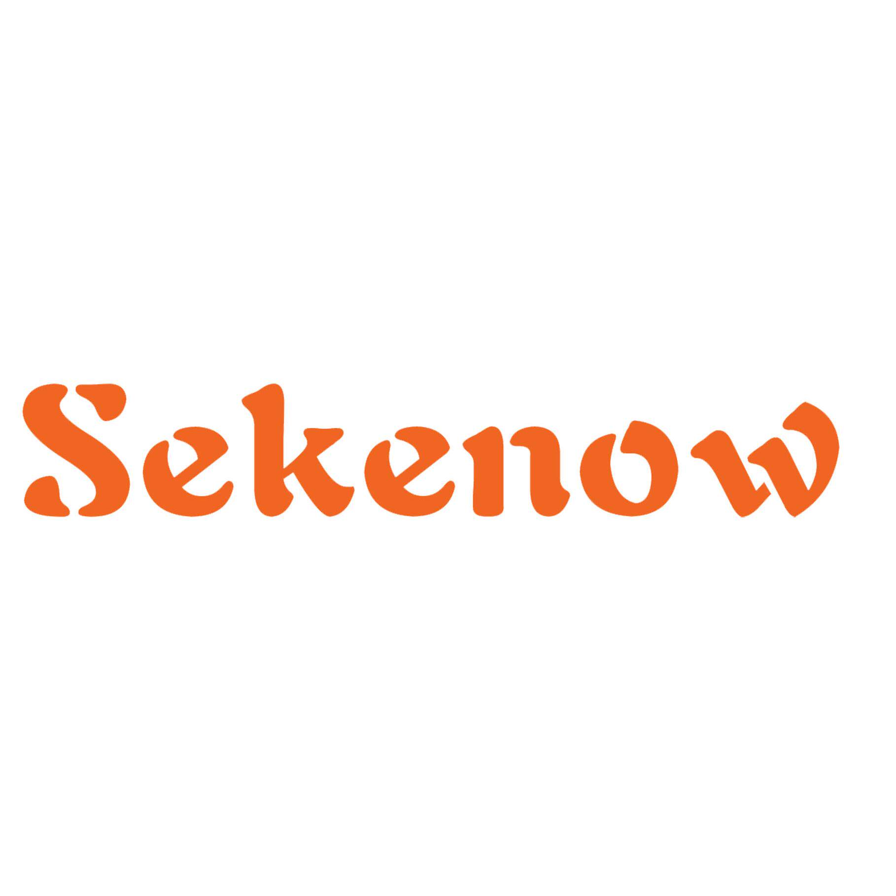 Sekenow电源品牌店
