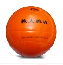 South China Lisheng Soft Volleyball 2360 Primary and middle school students dedicated volleyball training to use the ball for ball games