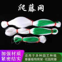  Bitter melon hanging melon loofah cucumber bean horn cowpea passion fruit special net plant climbing rattan net planting net climbing agricultural