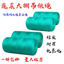  Agricultural anti-aging hanging vine rope hanging seedling rope Greenhouse plastic rope cucumber tomatoes tied vine vegetable sling