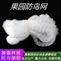 Nylon anti-bird net White transparent orchard fruit tree grape cherry rice loach fish pond breeding Skynet anti-bird net