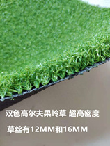 12 mm 16MM bicolor mixed high-density Golf Fruit Ridge Grass Engineering Artificial Short Turf Casual Door Polo Grass