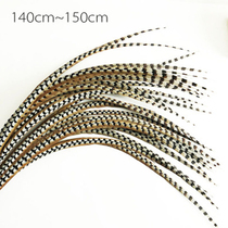 Pheasant Feather Peking Opera Opera Mountain Chicken Mao Wild Chicken Tail Playful Flowers Denier to the Sacred Sun Epiphany Monkey