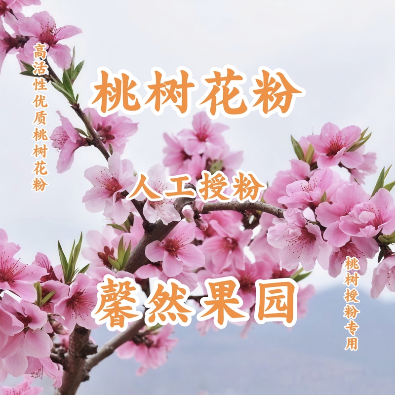 Peach Tree Pollen (1g Pure Powder) Universal Variety for Pollination of Peach Trees and Peach Blossoms