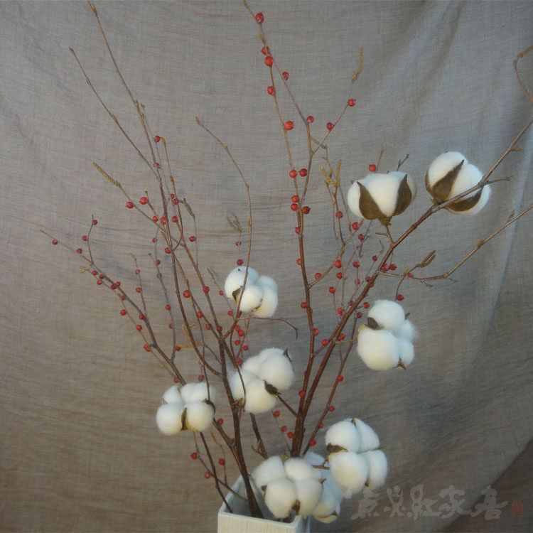 (Birch Sherry Snow) Dry flowers cotton branches and flowers bouquet of flowers and flowers Home furnishings-Taobao