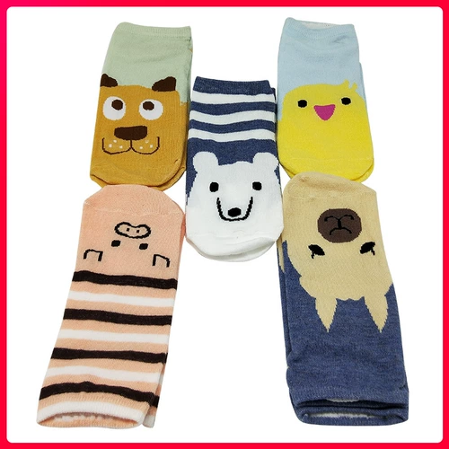 Носки носки, легкие рты, корейские милые носки, дамы, хлопковые летние тонкие низко низкие силиконовые незрелые невидимые носки домашние животные