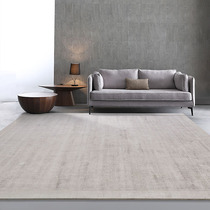 Zhenjia India imported modern simple carpet Living room coffee table mat Study bedroom Nordic style rectangular bedside blanket