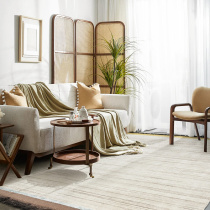 Nordic light luxury wool carpet Living room Modern simple foyer Home bedroom room Sofa Coffee table mat Bedside blanket