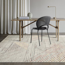  Nordic light luxury ins living room carpet Household modern simple sofa coffee table mat Bedroom model room bedside carpet