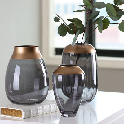 ins glass transparent gilt vase home decoration flower arrangement creative glass vase ornament Nordic vase ornament