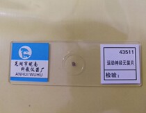 Motor neuron coated human blood smear biological section microscope specimen teaching slide