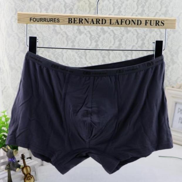 4 túi quần ngắn nam Tian Taro modal cotton tóm tắt Quần bằng sợi cotton thấm mồ hôi quần sịp nam trong suốt